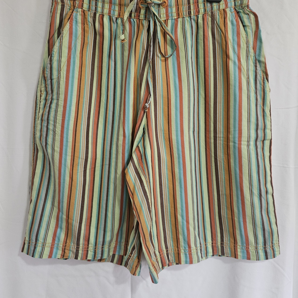 Free People Multicolor Striped Women Shorts